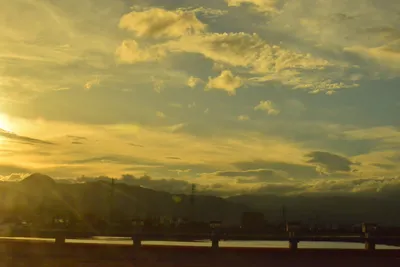 DSC_3793 (Large).JPG